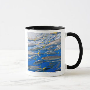 Mug École des coureurs d'arc-en-ciel, mer de Cortez,