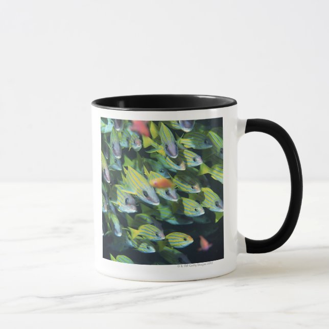 Mug École des poissons 7 (Droite)