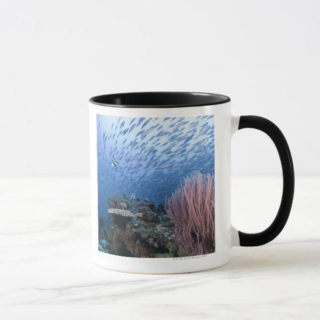 Mug École des poissons au-dessus du récif (Droite)