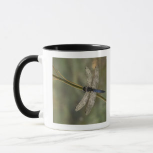 Mug Écumoire à queue noire