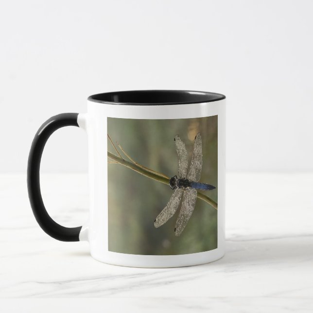 Mug Écumoire à queue noire (Gauche)