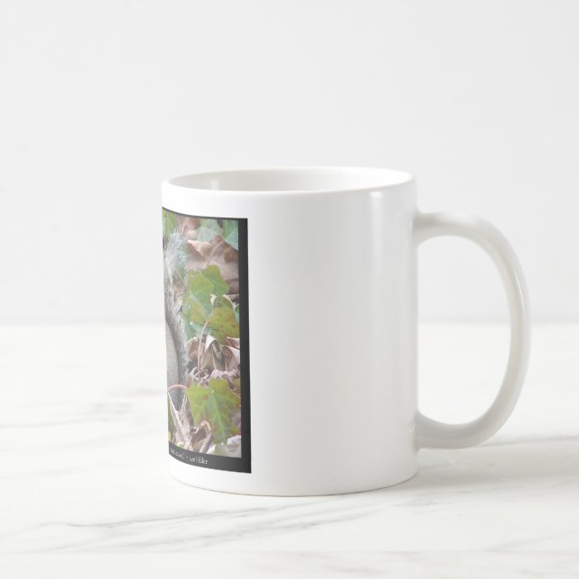 Mug Écureuil Dans L'Ivy - Dons D'Amour Et Vêtements (Droite)