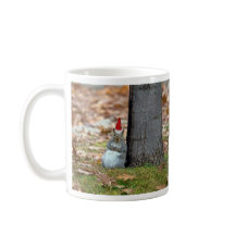 Écureuil du Père Noël