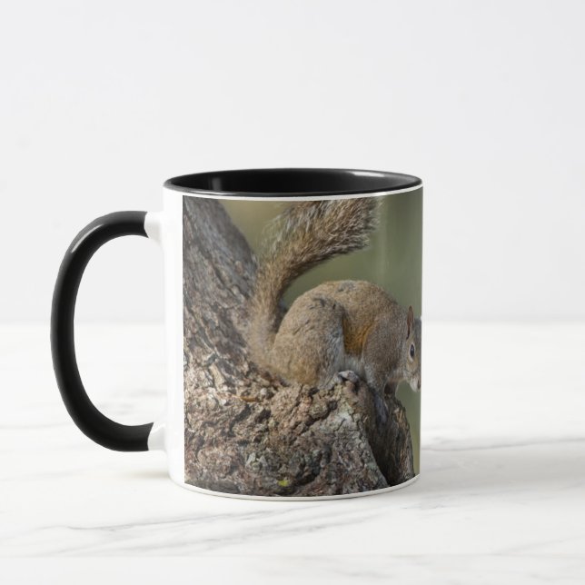 Mug Écureuil gris de l'Est, ou écureuil gris (Gauche)