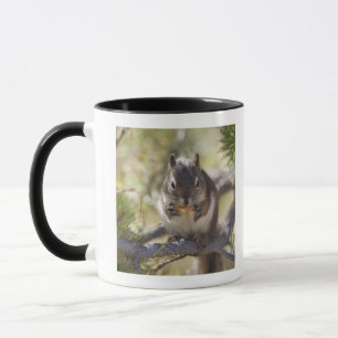 Mug Écureuil mangeant un cône de pin