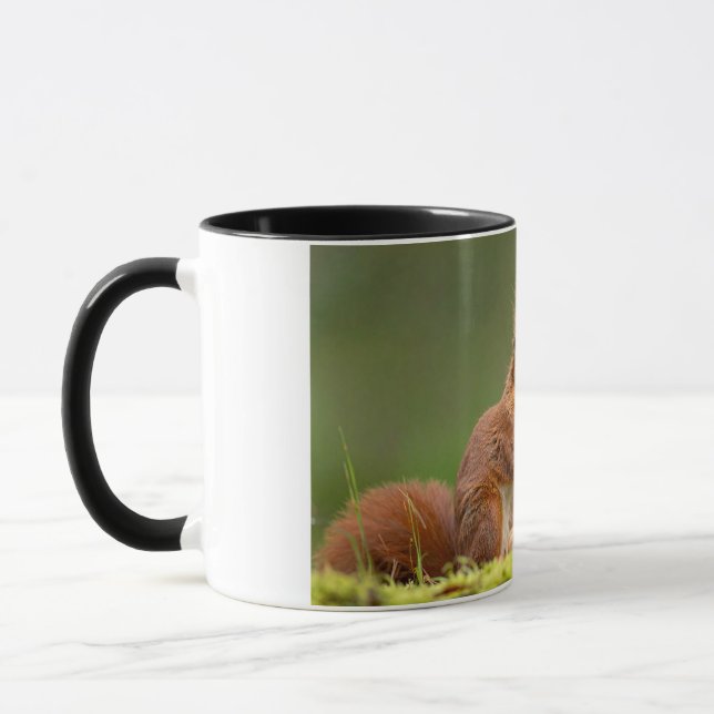 Mug écureuil mangeant une noix (Gauche)