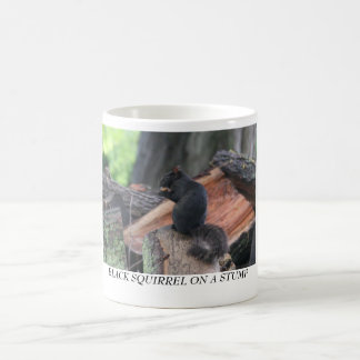 MUG ÉCUREUIL NOIR SUR UN TRONÇON
