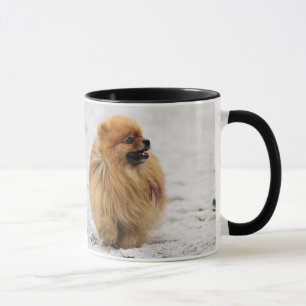 Mug Edgrrrr #3 - Pomeranian