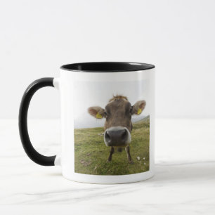 Mug Effrayez près de Tre Cime Di Lavaredo dans