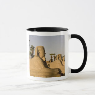 Mug Égypte, Louxor. L'Allée des Sphinx mène à