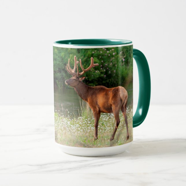 Mug Élan mâle dans le National Bison Range, Montana (Devant droit)