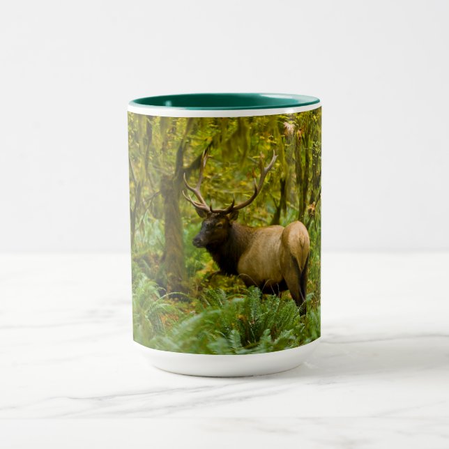 Mug Élan Roosevelt mâle (Centre)