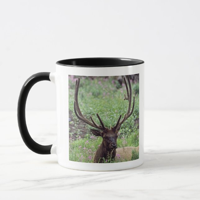 Mug Élans de Taureau se reposant dans le pré alpin (Gauche)