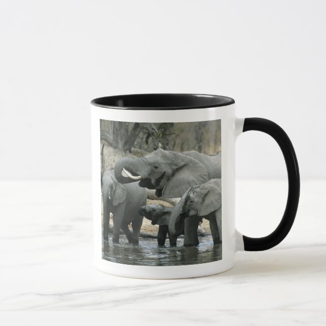 Mug Éléphant d'Afrique, (Loxodonta africana), buvant (Droite)