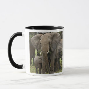 Mug Éléphant d'Afrique Troupeau
