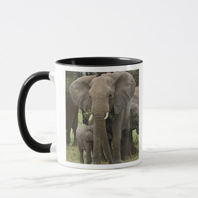Mug Éléphant d'Afrique | Troupeau (Gauche)