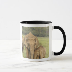 Mug Éléphant indien / asiatique et jeune, Corbett