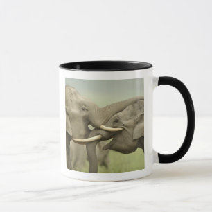 Mug Éléphants asiatiques indiens s'amusent à se battre