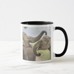 Mug Éléphants asiatiques indiens s'amusent à se battre