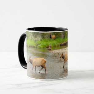 Mug Elks Crossing the Colorado River
