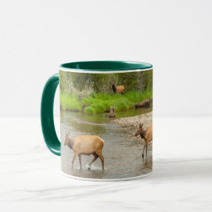 Mug Elks traversant le fleuve Colorado