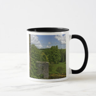 Mug En Irlande, au château de Blarney, une tour en pie