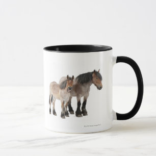 Mug Enfantez et poulinez en souriant, cheval belge,