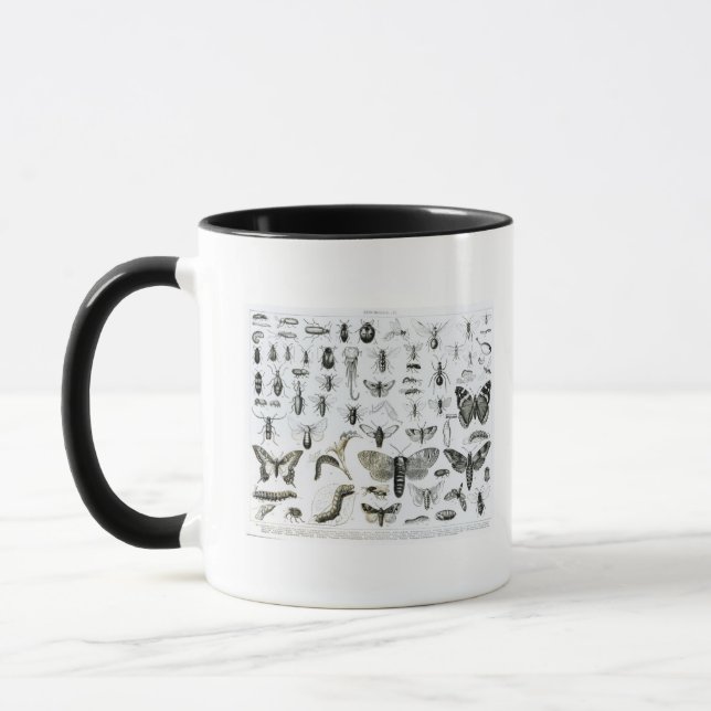 Mug Entomologie (Gauche)