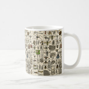 Mug Entomologie vintage