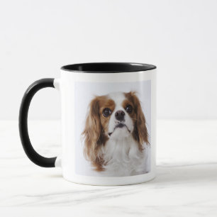 Mug Épagneul cavalier du Roi Charles se reposant dans