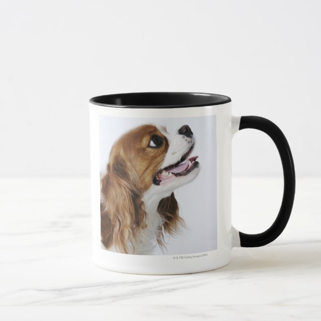 Mug Épagneul cavalier du Roi Charles, vue de côté (Droite)