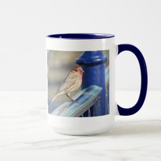 Mug - Épervier à tête rouge