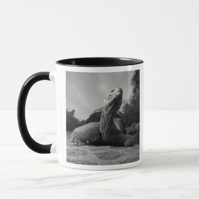 Mug Equateur, Parc national des Îles Galapagos, Père N (Gauche)