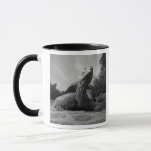 Mug Équateur, Parc national des îles Galapagos, Santa