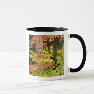 Mug Érables d'automne et bouleau, Blanc