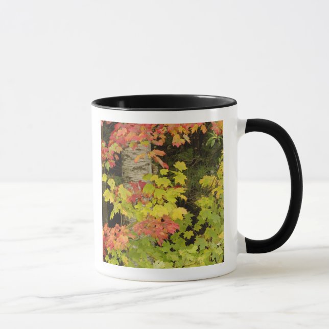 Mug Érables d'automne et bouleau, Blanc (Droite)