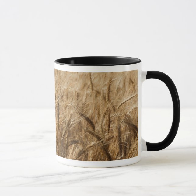 Mug Erick, Oklahoma Route 66 (Droite)