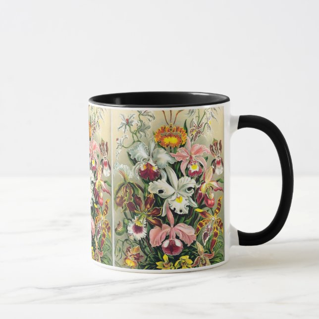 Mug Ernst Haeckel - Orchidées (Droite)