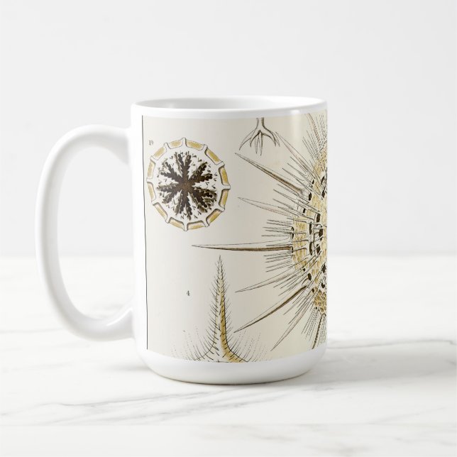 Mug Ernst Haeckel Phaeodaria (Gauche)