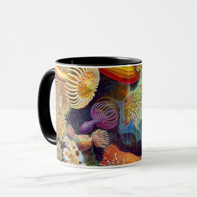Mug Ernst Haeckel Sea Anemones Marine : Actiniae (Devant gauche)