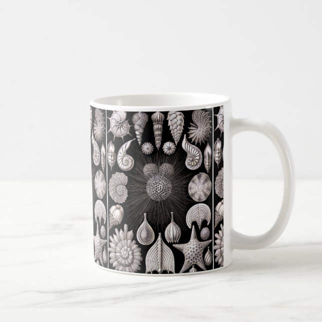 Mug Ernst Haeckel Thalamophora I (Droite)