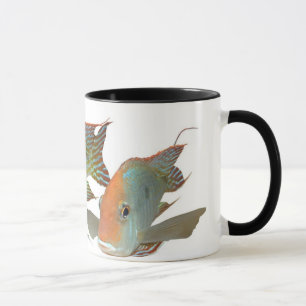 Mug Espèces "tête orange de Geophagus de Tapajos "