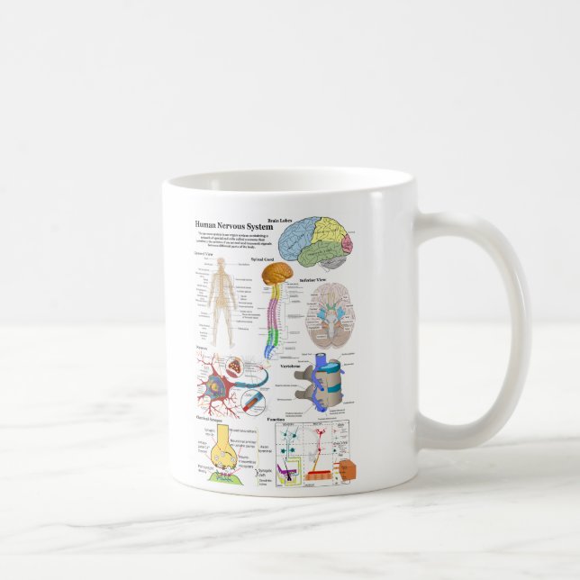 Mug Esprit humain et diagramme de système nerveux (Droite)