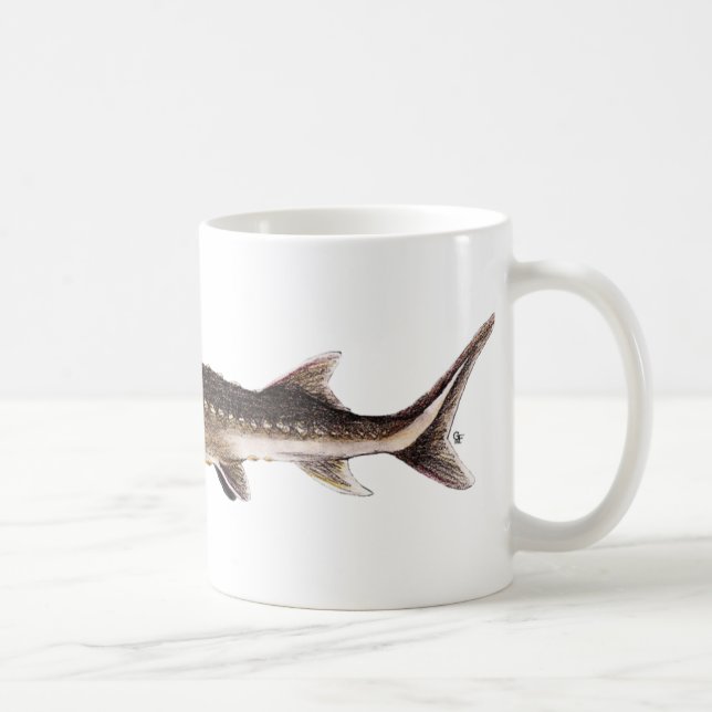 Mug Esturgeon de Shortnose - brevirostrum d'Acipenser (Droite)