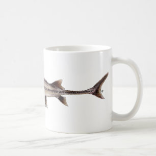 Mug Esturgeon pâlot - albus de Scaphirhynchus