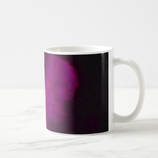 Mug Eta Carinae, Eta Carinae, vue en trois dimensions (Droite)