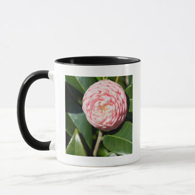 Mug États-Unis, Alabama, Theodore près de Mobile (Gauche)