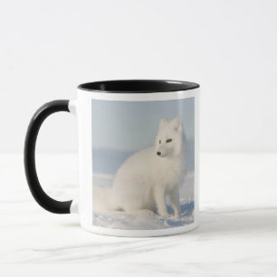 Mug États-Unis, Alaska, 1002 Plaine côtière de l'Arcti
