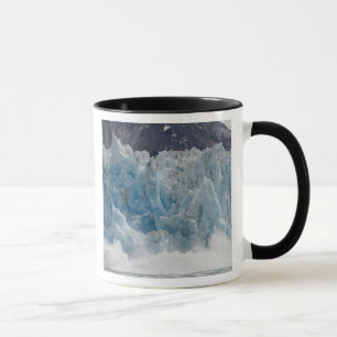 Mug États-Unis, Alaska, Forêt nationale de Tongass, Tr