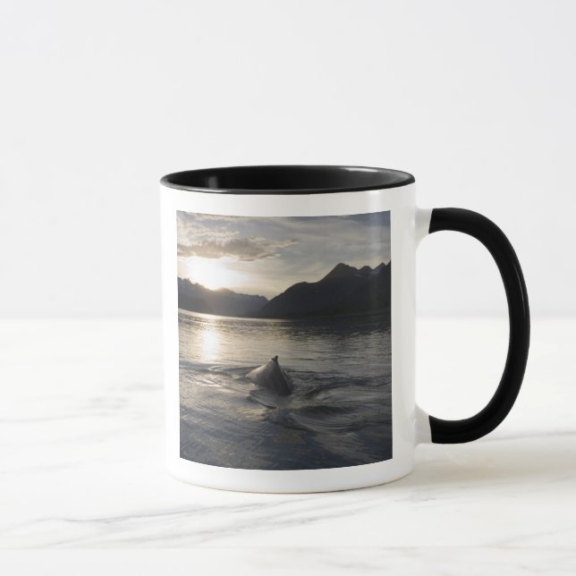 Mug États-Unis, Alaska, Glacier Bay National Park, (Droite)